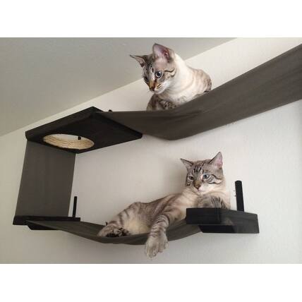 Shop Fabric Cat Maze Handcrafted Canvas And Wood Wall Mounted