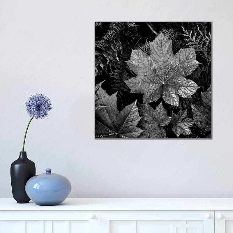iCanvas "In Glacier National Park XXIII" by Ansel Adams Canvas Print - 18x18x1.5