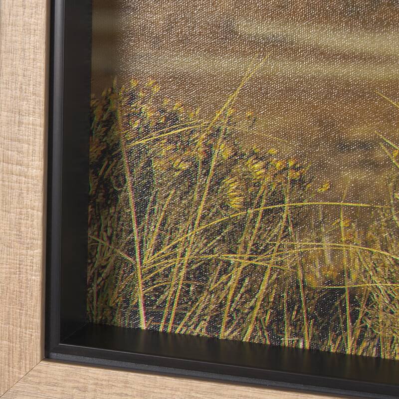 Antelope Island - Brown