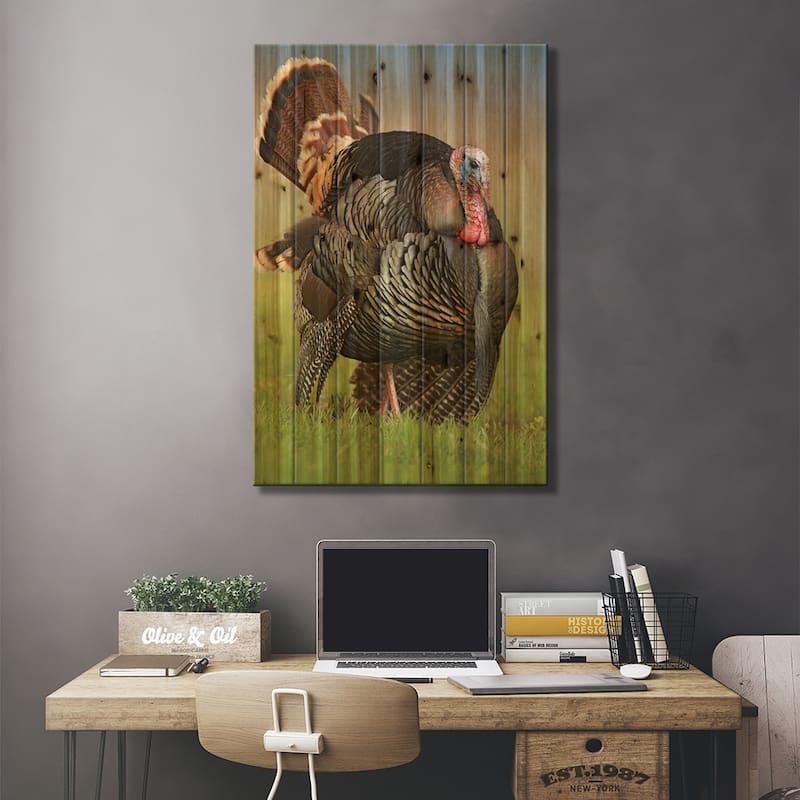 Wild Turkey Male In Courtship Display, Palo Duro Canyon State Park, Texas I Print On Wood by Tim Fitzharris - Multi-Color