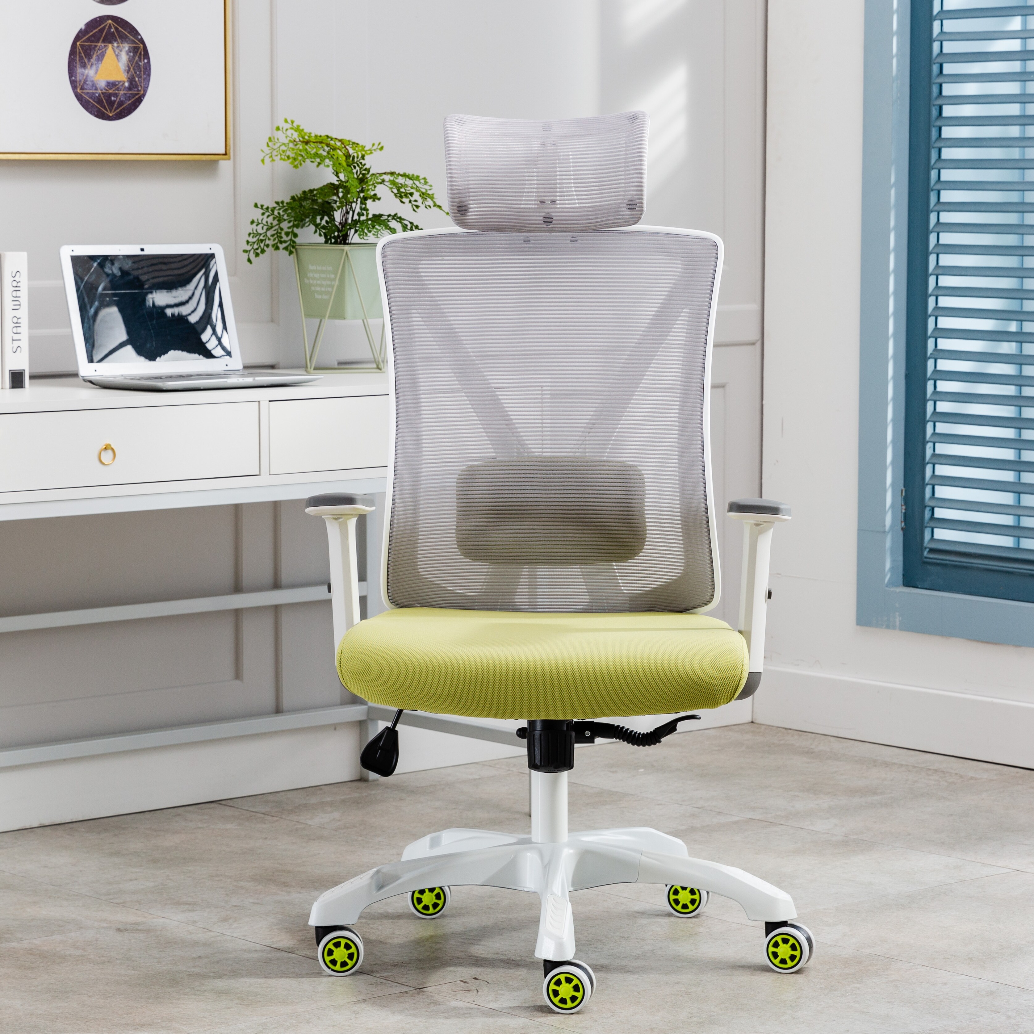 GEROJO Ergonomic Home Office Chair,Adjustable Lumbar SupportandArmrests,Breathable Mesh Back and Padded Seat,Green and Gray