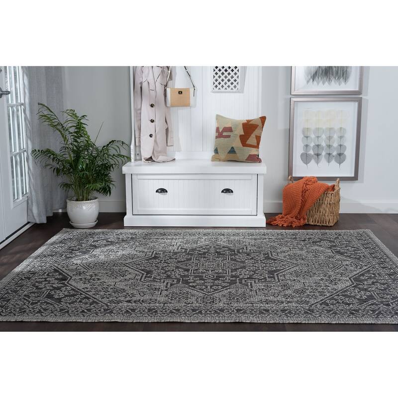 Colonnade Traditional Medallion Indoor/Outdoor Area Rug