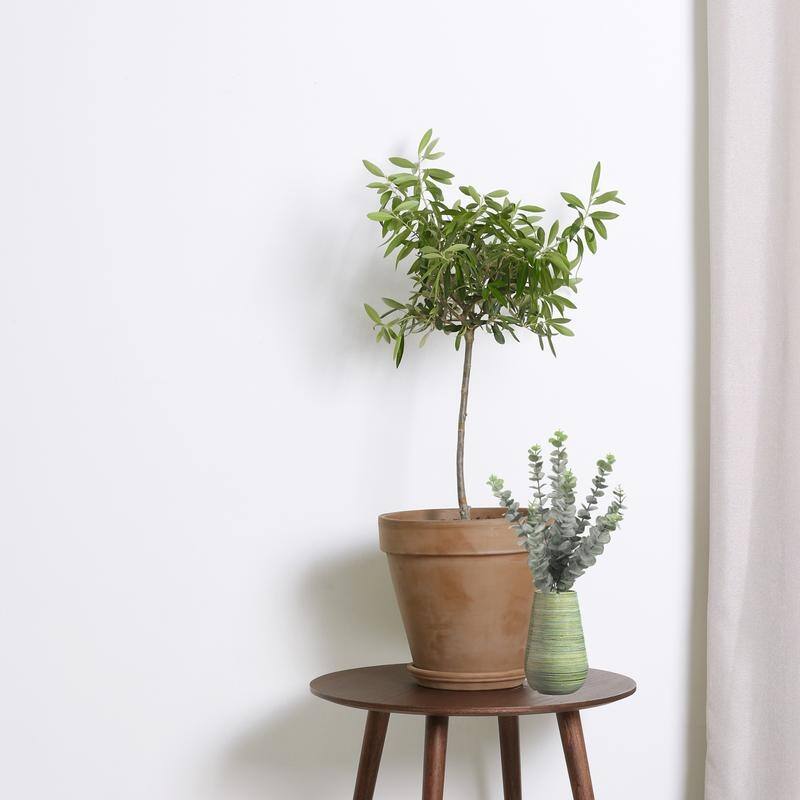 Artificial 20 inch Eucalyptus Pick, Set of 2