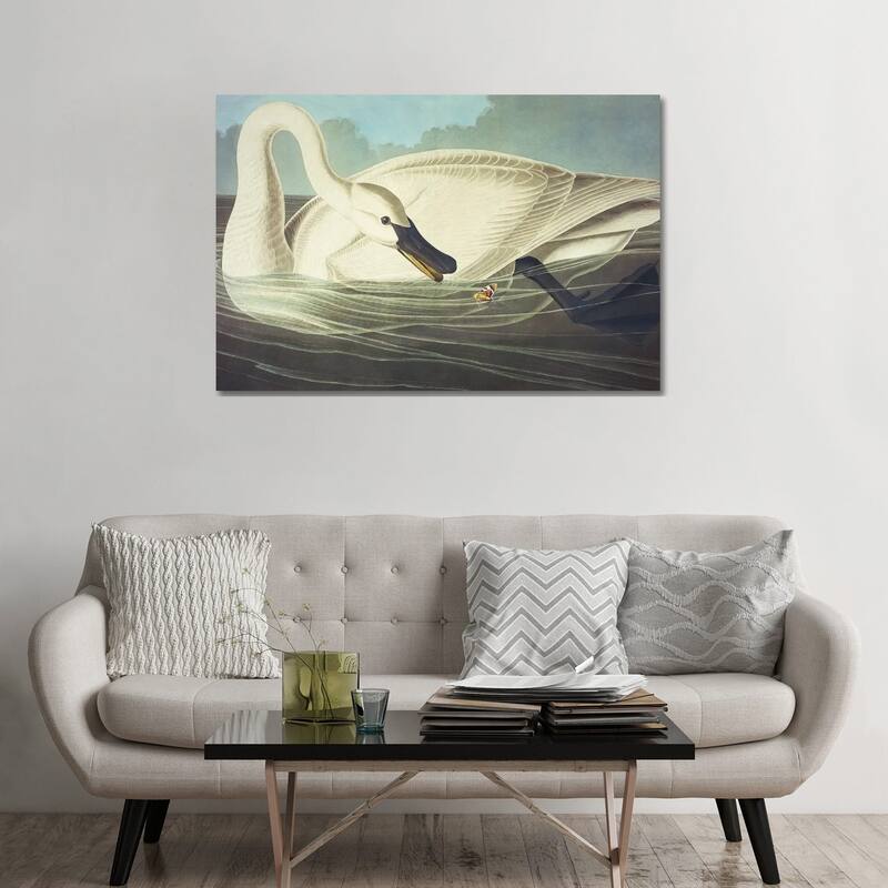 iCanvas "Trumpeter Swan II" by John James Audubon Canvas Print - 32x48x1.5
