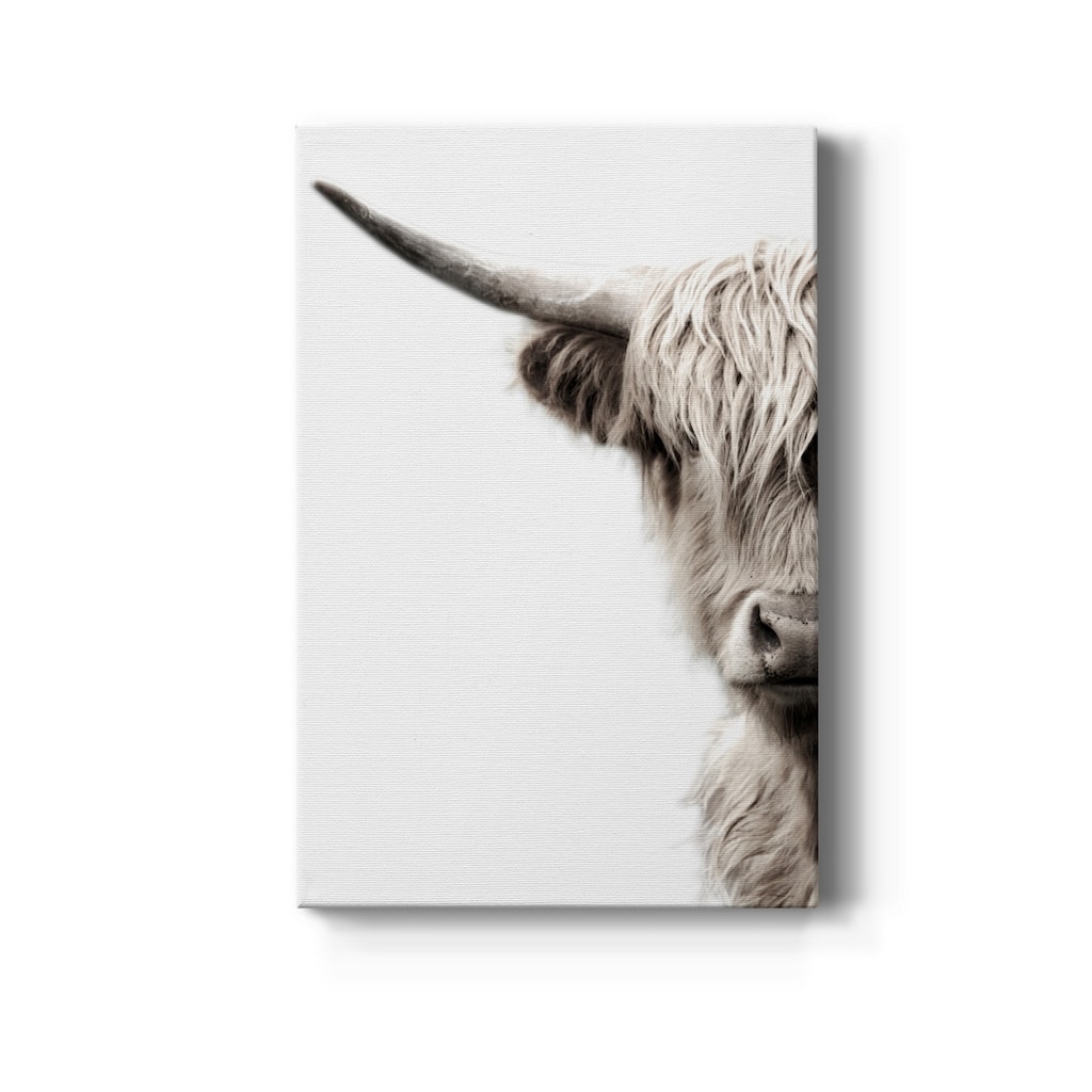 Highland Cattle Premium Gallery Wrapped Canvas - Ready to Hang