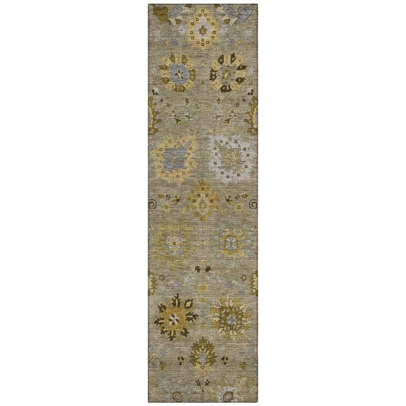 Machine Washable Indoor/ Outdoor Vintage Traditional Chantille Rug
