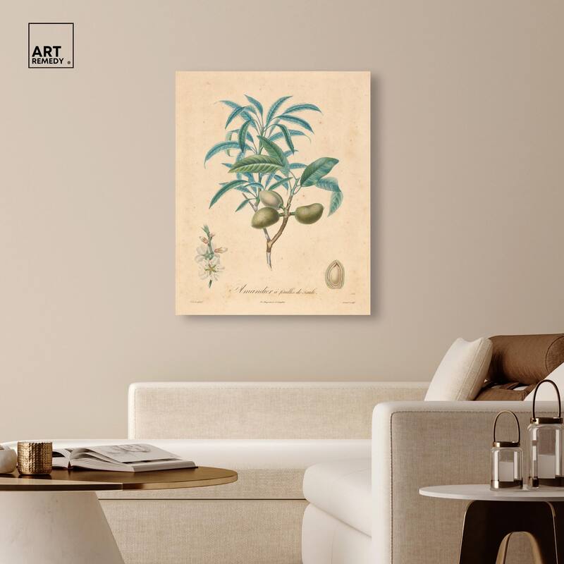 Almond of Georgia II Canvas by Art Remedy, Gallery Wrapped