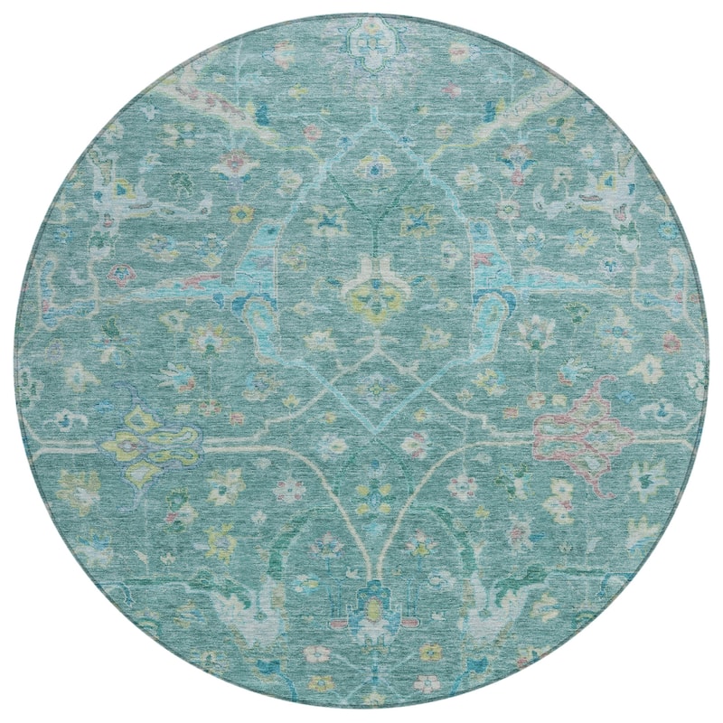 Machine Washable Indoor/ Outdoor Traditional Vintage Chantille Rug