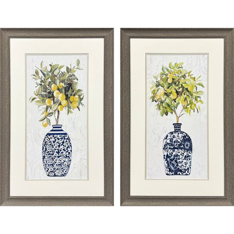 Paragon Lemon Tree Pot Framed Art - Set of 2