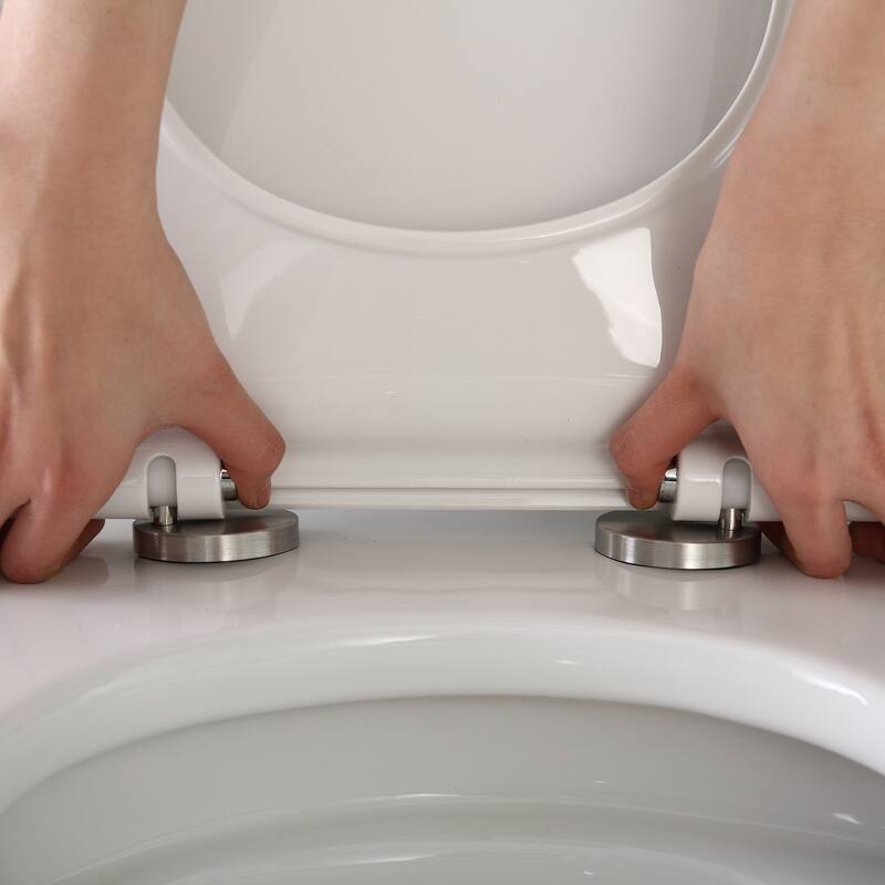 Jade One-Piece Elongated Toilet With Dual Flush and Soft Close Seat - White