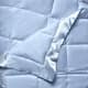 Option Blue