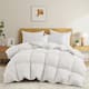 Option Heavyweight White