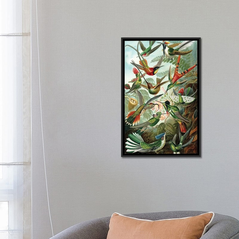 iCanvas "Haeckel Hummingbirds" by PatentPrintStore Framed Canvas Print