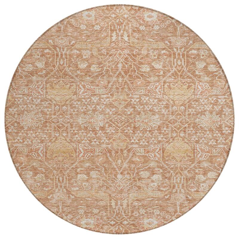 Machine Washable Indoor/ Outdoor Vintage Boho Chantille Rug