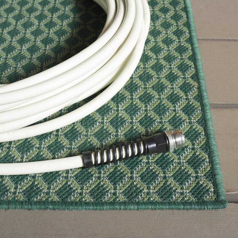 SAFAVIEH Terrace Ruba Indoor/Outdoor Washable Backyard Patio Rug
