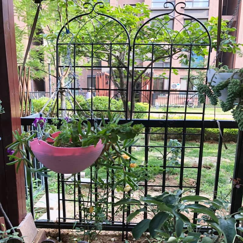 2 Pack Metal Garden Rustproof Trellis for Climbing Plants