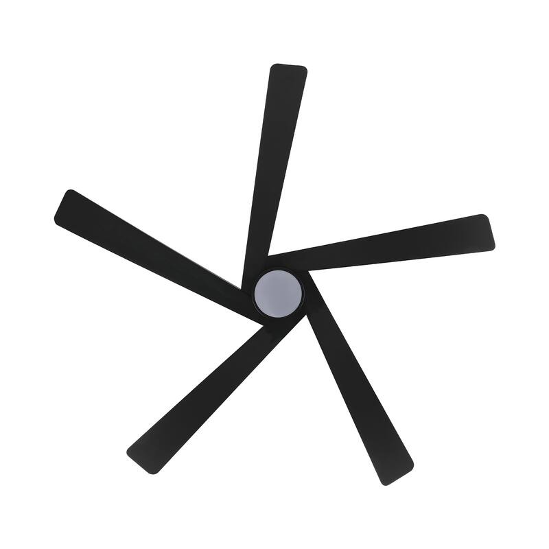 WINGBO 54 DC Ceiling Fan with Lights and Remote Control, 5 Reversible Carved Wood Blades