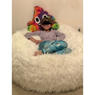 Lachlan Faux Furry Bean Bag by Christopher Knight Home