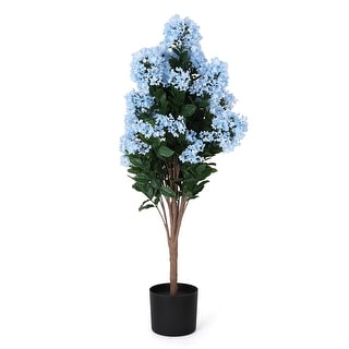 Bornbridge Colorful Potted Hydrangea - N/A
