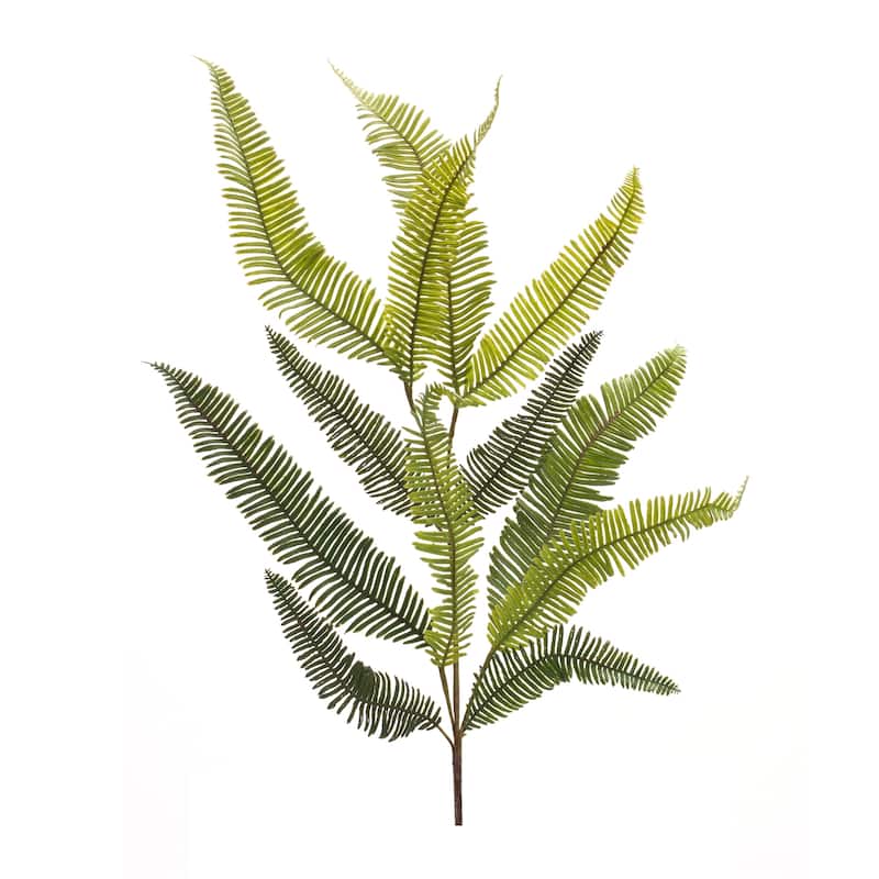 Fern Spray (Set of 6)