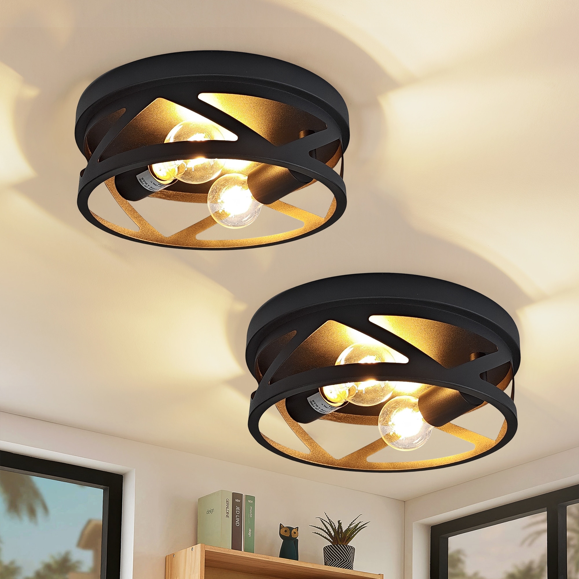 2-Light Industrial Flush Mount Ceiling Light, Black Metal Cage, E26 Base, Modern Farmhouse Lighting for Hallway, Bedroom