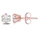 Option Rose