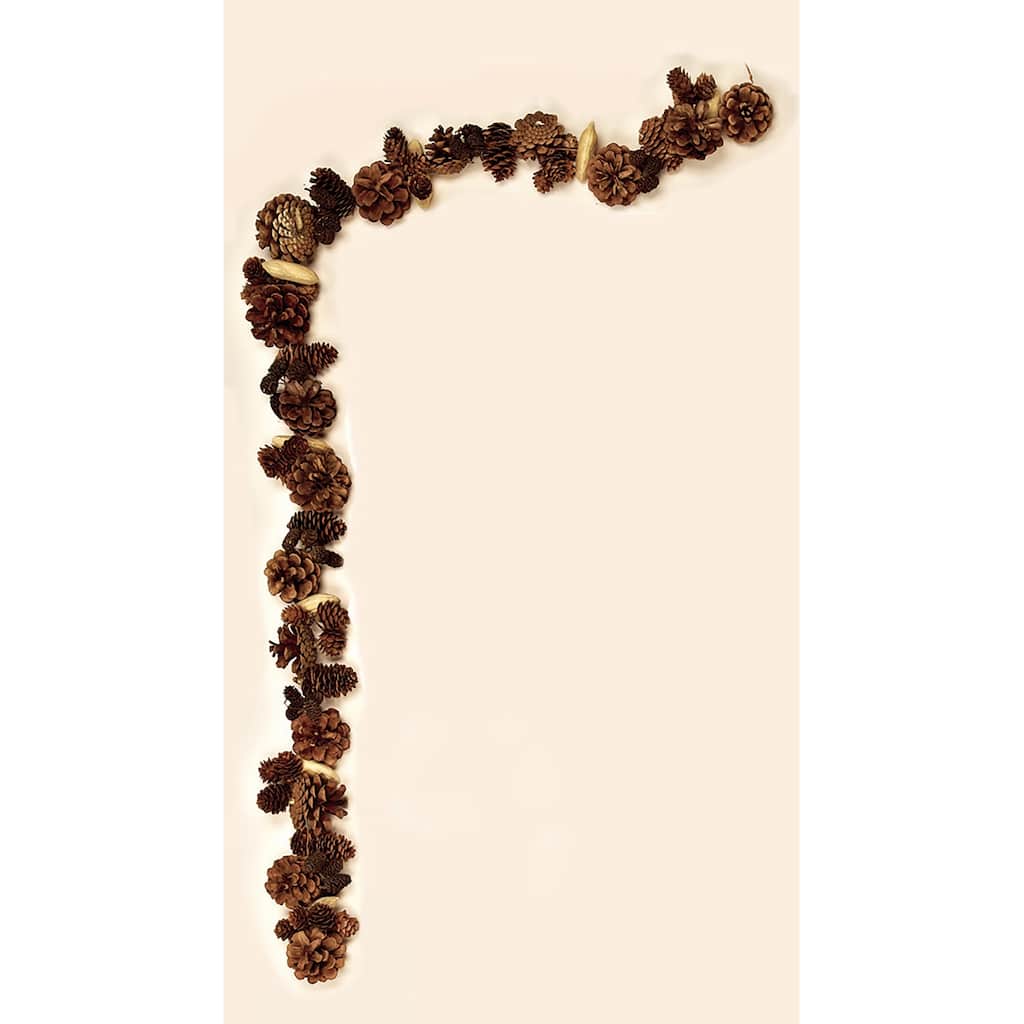 54" Mixed Pine Cone & Seed Pod Garland - Multicolor