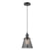 Option Oil Rubbed Bronze / Light Smoke