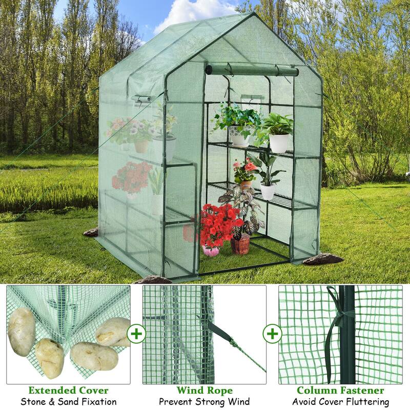 Gymax Walk-in Greenhouse 56''x56''x77'' Gardening w/Observation - See Details