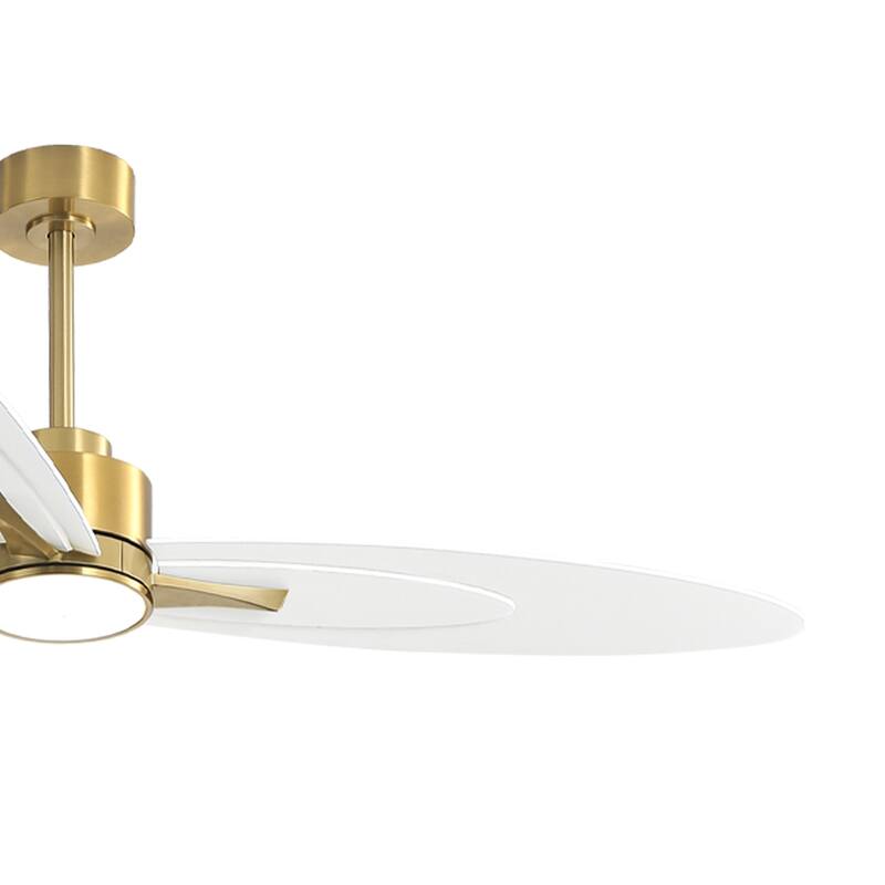 WINGBO 60-in 3-Blades Indoor Ceiling Fan with LED Light & Remote