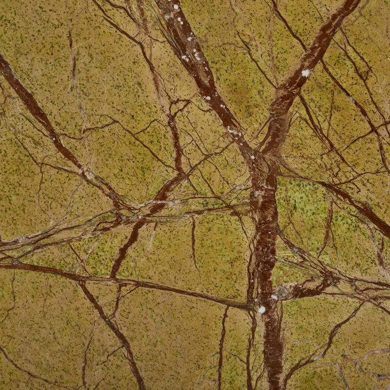 SAFAVIEH Couture Danny Round Marble Accent Table, Fully Assembled - 14"W x 14"D x 24"H