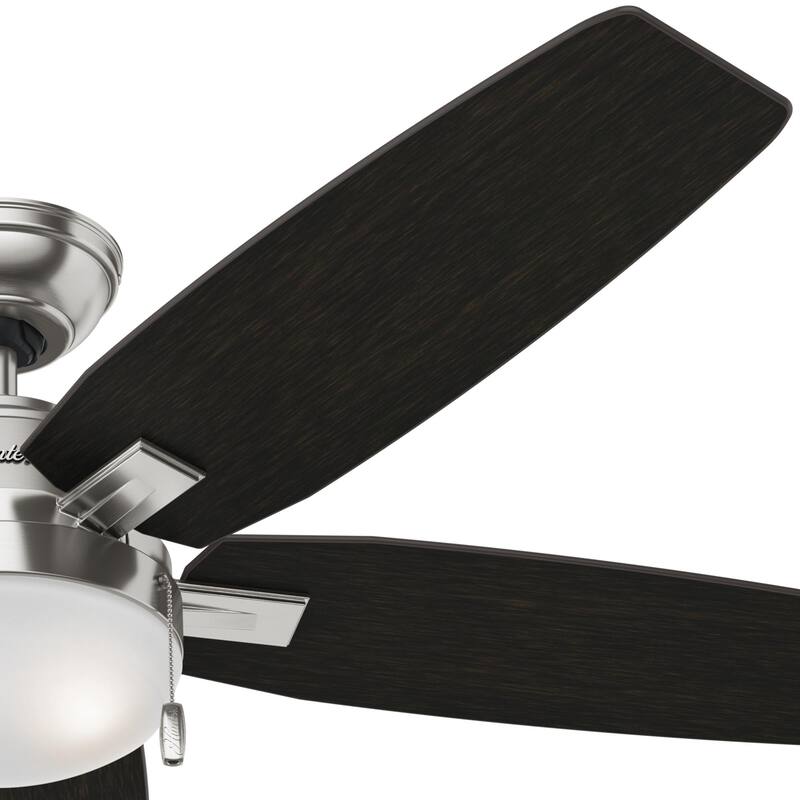 Hunter Morgantown Ceiling Fan with LED Light, Pull Chain - Transitional, Contemporary