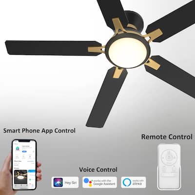 CARRO Joule 52" 5-Blade Smart Ceiling Fan with Light and Remote-Flush Mount