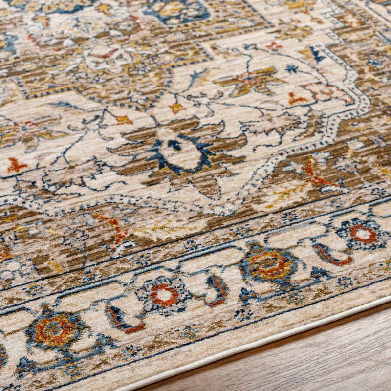 Niengold Traditional Medallion Area Rug