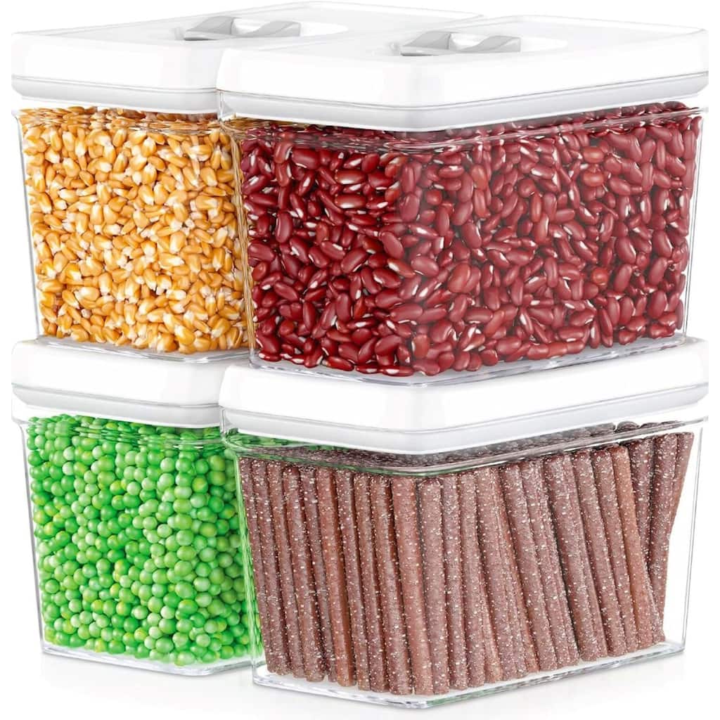 DWËLLZA KITCHEN 4LB White Airtight Food Storage Containers