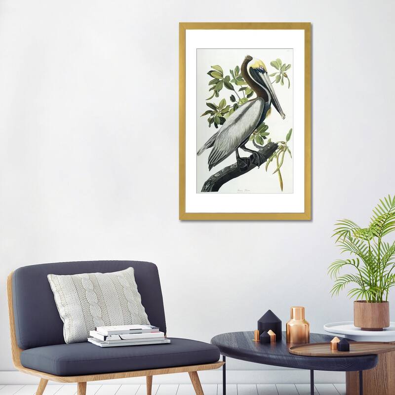 iCanvas "Brown Pelican, 1835 " by John James Audubon