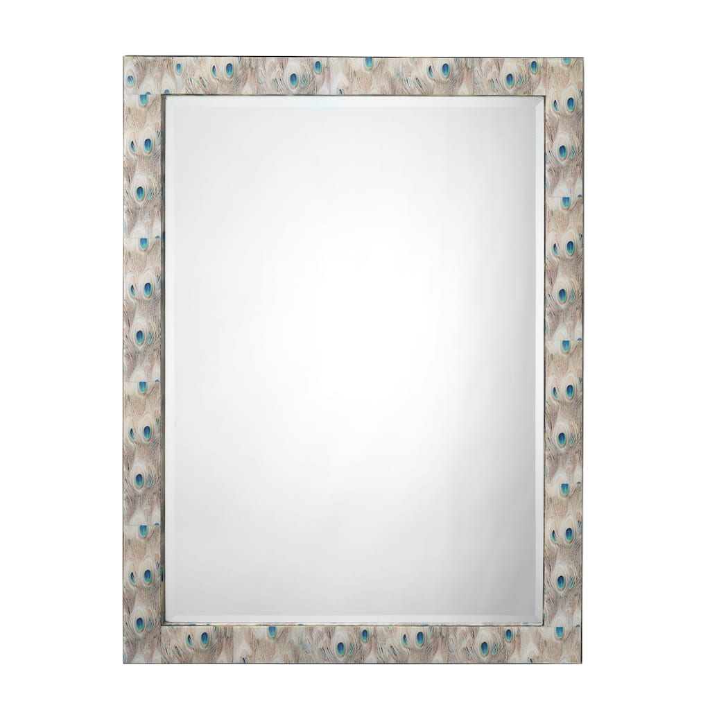 Alden Décor Feather Rectangle Mirror