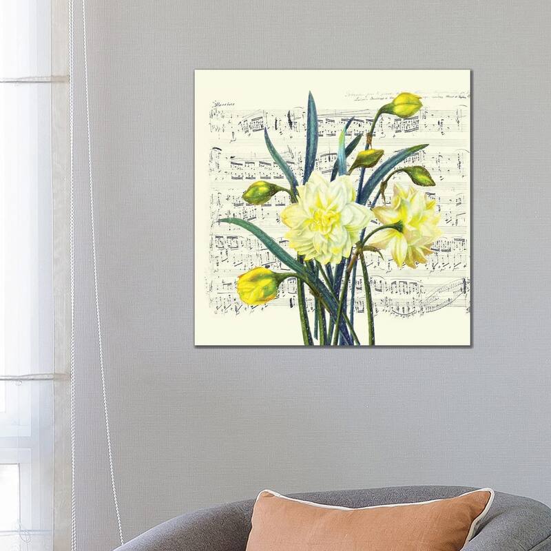 iCanvas "Daffodils Spring Music Shabby Chic" by Seven Sirens Studios Canvas Print - 26x26x1.5
