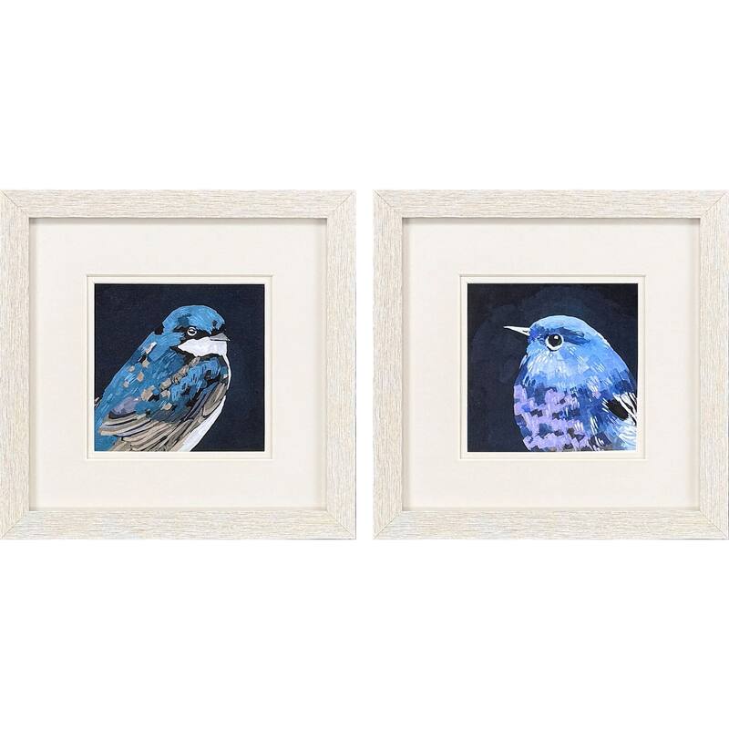 Paragon Vivid Bird I Framed Art - Set of 2