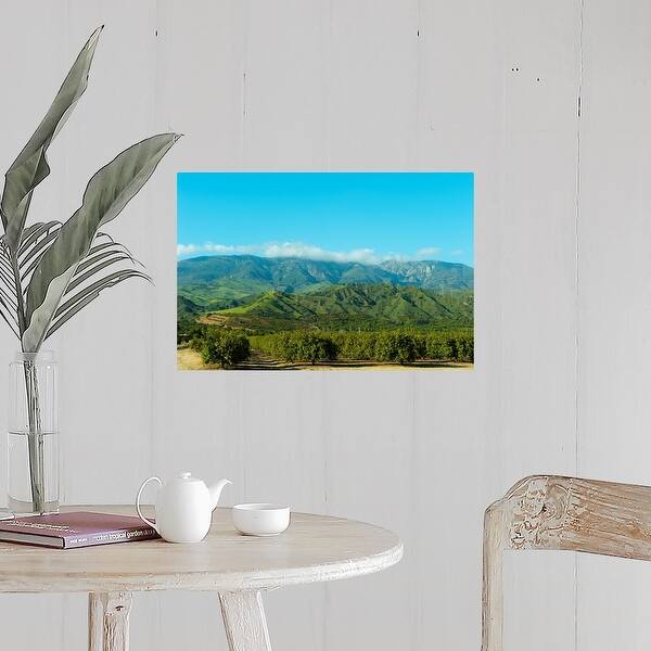 Orange Tree Grove Santa Paula Ventura County California Poster Print Overstock 16895236