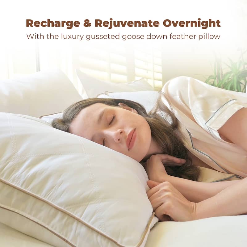 Medium-Firm 2-inch Gusset Feather and Down Pillows Set of 2