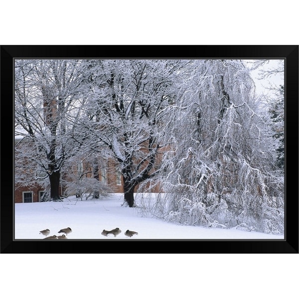 "New England, Trees and building during winter snow" Black Framed Print