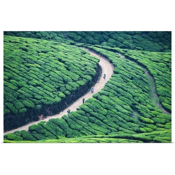 "Way home from tea plantation in Munnar, Kerala." Poster Print