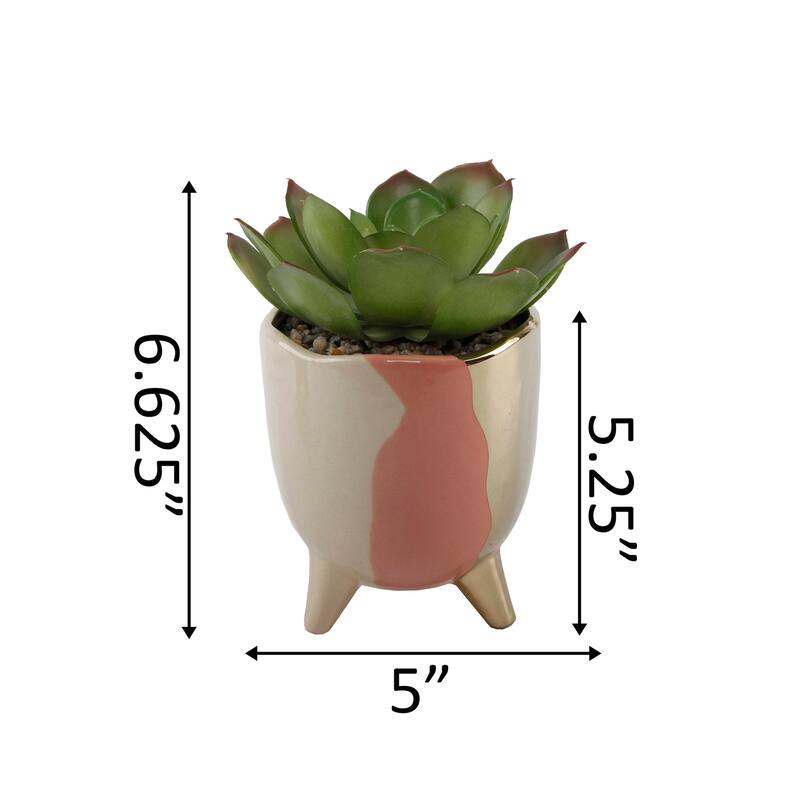Succulent in 5" 3-TONE FOOTED CERAMIC,GREY - ONE-SIZE