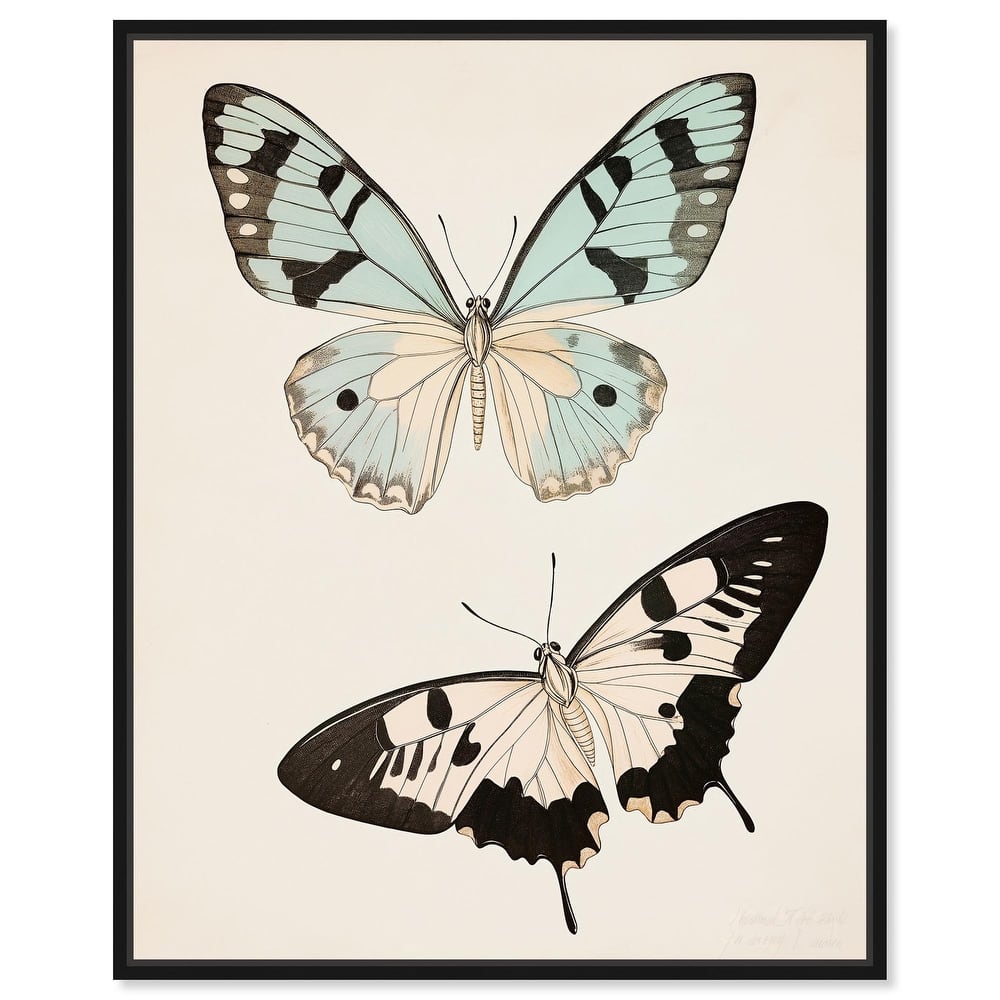 Aniseed Anatomy II Canvas by Art Remedy