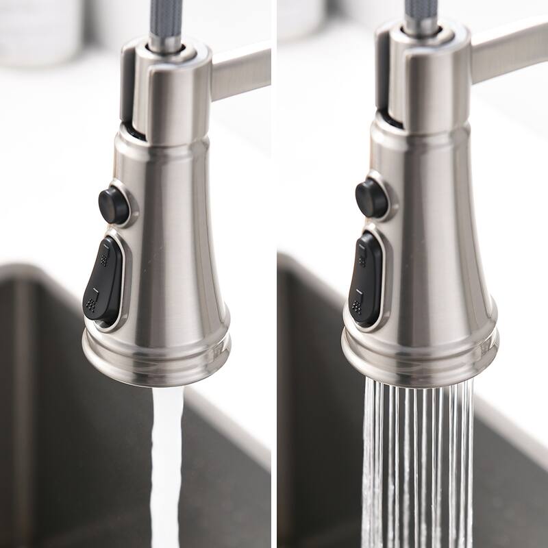 Kitchen Faucet with Pull Down