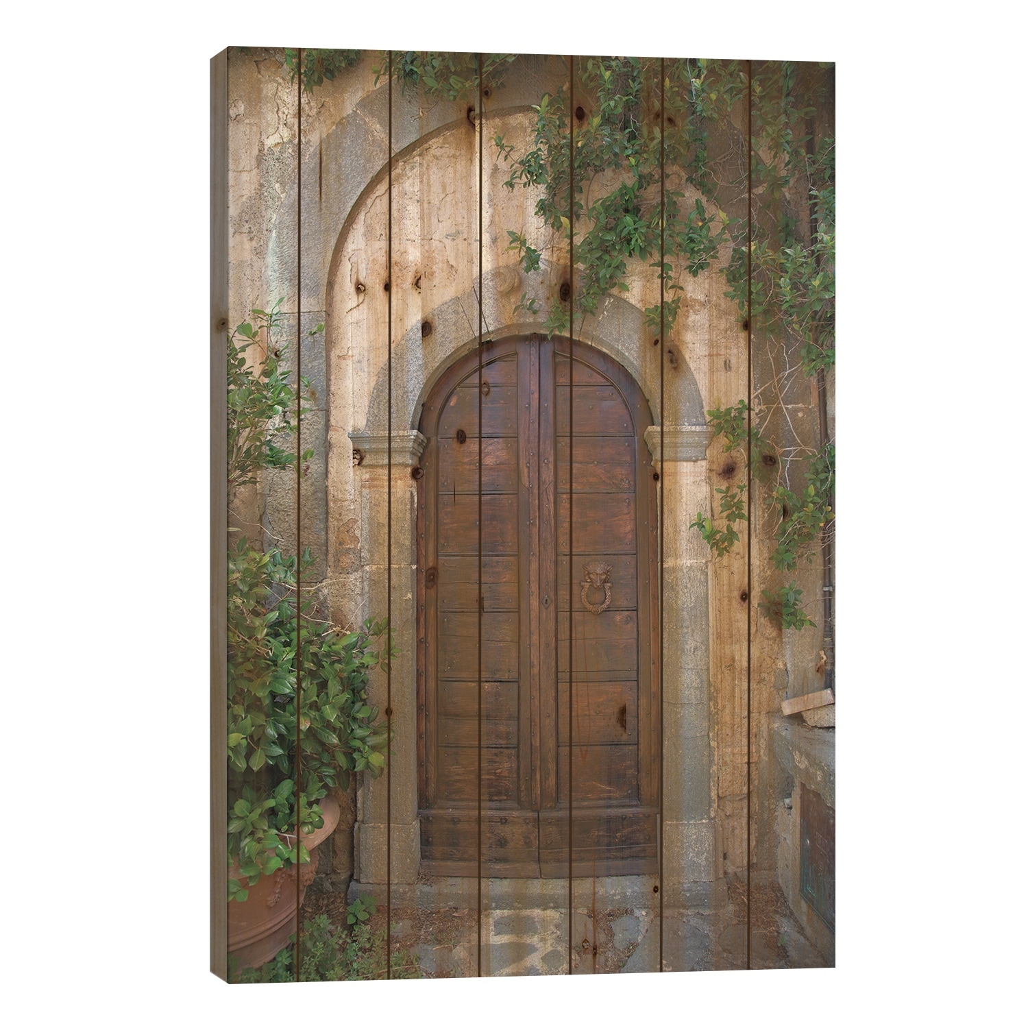 Venice Doorway Print On Wood by Aledanda - Multi-Color