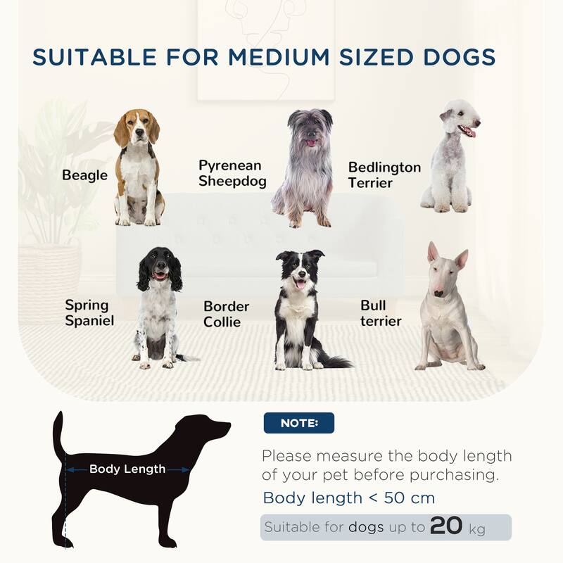 Raised Dog Sofa, Elevated Pet Couch for Small and Medium Dogs, with Removable Soft Cushion, Anti-Slip Pads, Simple Installation