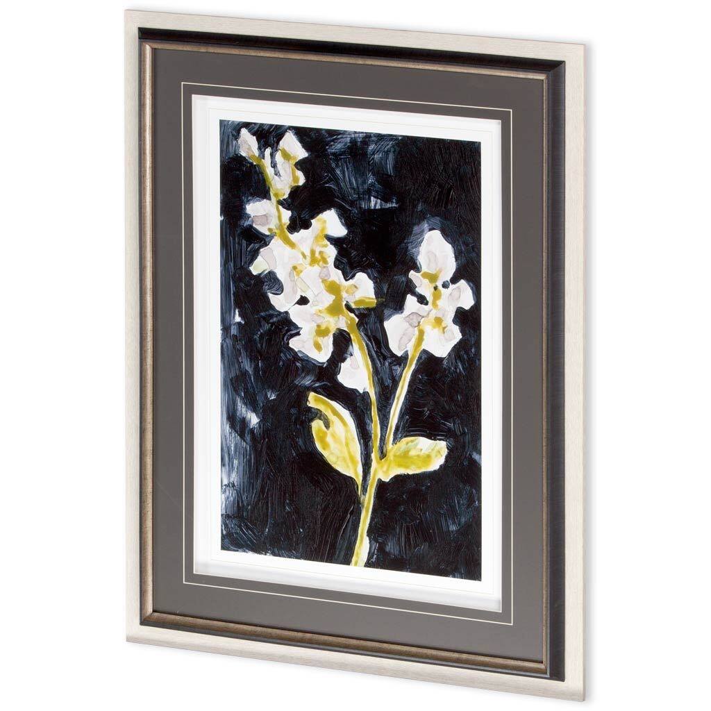 Midnight Phlox I Framed Art Print