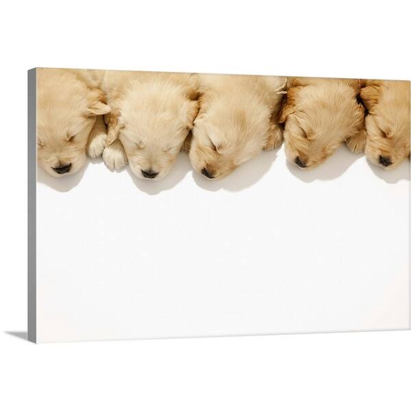 Shop Golden Retriever Puppies Sleeping Canvas Wall Art On Sale